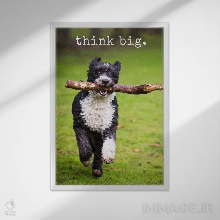 تابلو دکوراتیو بزرگ بیندیش اثر داگ ایز گود اند کت ایز گود - نمای قابدار سفید