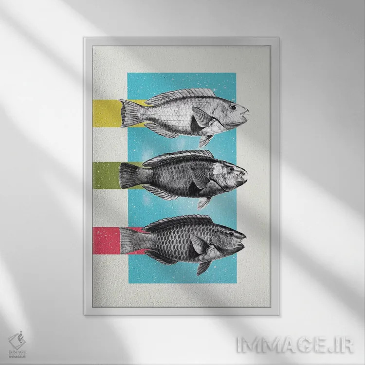 تابلو دکوراتیو ماهی اثر دنی ایوان - نمای قابدار سفید