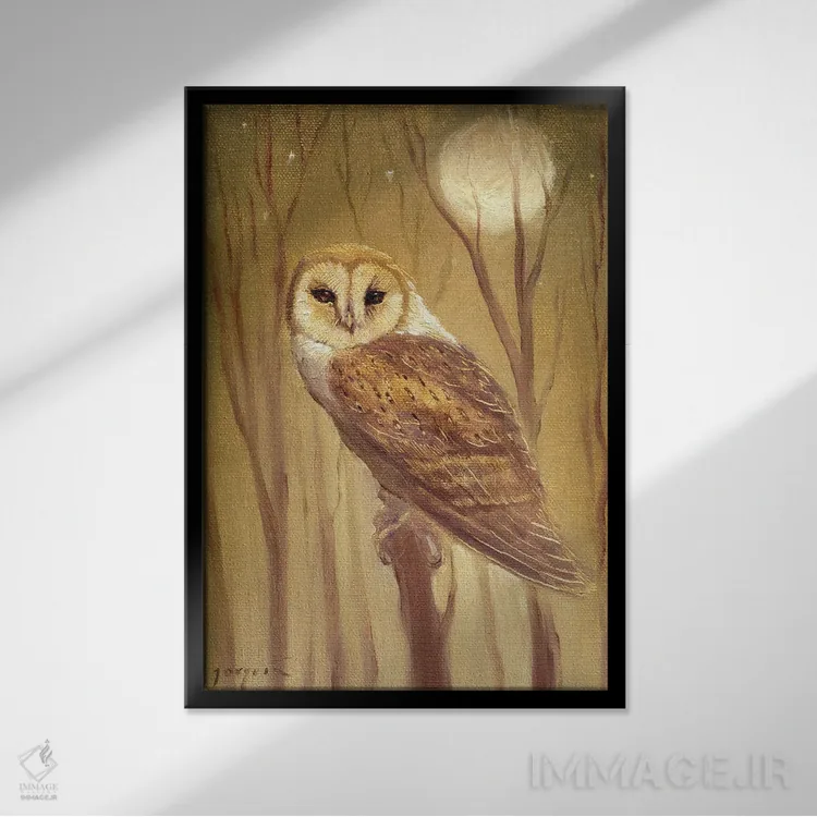 تابلو دکوراتیو جغد اثر دیوید جواکین - نمای قابدار مشکی