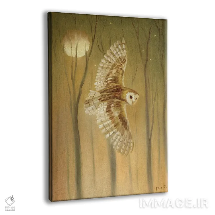 تابلو دکوراتیو جغد شب اثر دیوید جواکین - نمای پرسپکتیو محصول