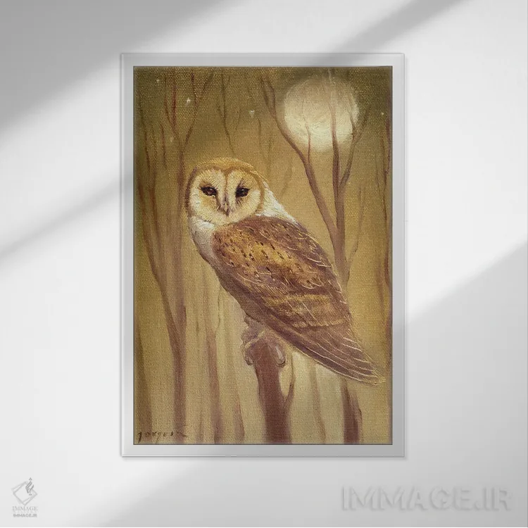 تابلو دکوراتیو جغد اثر دیوید جواکین - نمای قابدار سفید