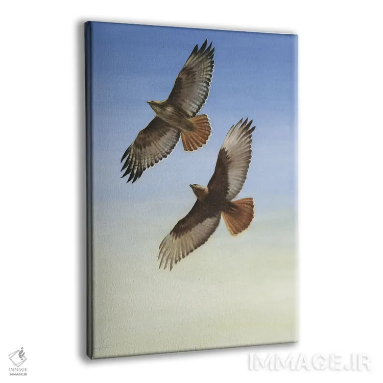 تابلو دکوراتیو اوج گرفتن اثر دیوید جواکین - نمای پرسپکتیو محصول