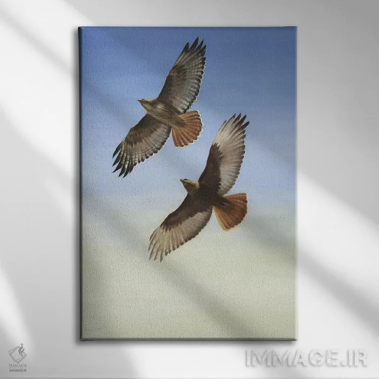 تابلو دکوراتیو اوج گرفتن اثر دیوید جواکین - نمای روبهرو روی دیوار