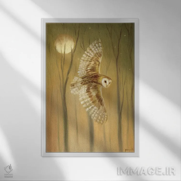 تابلو دکوراتیو جغد شب اثر دیوید جواکین - نمای قابدار سفید