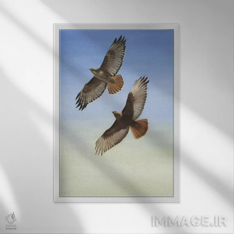 تابلو دکوراتیو اوج گرفتن اثر دیوید جواکین - نمای قابدار سفید