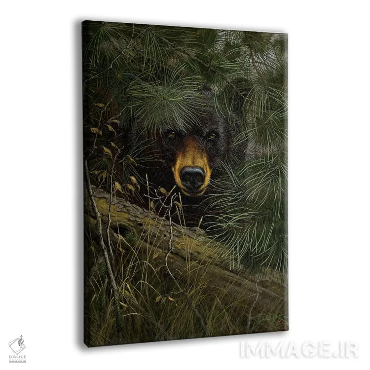 تابلو دکوراتیو تماشاگر اثر درک هانسن - نمای پرسپکتیو محصول