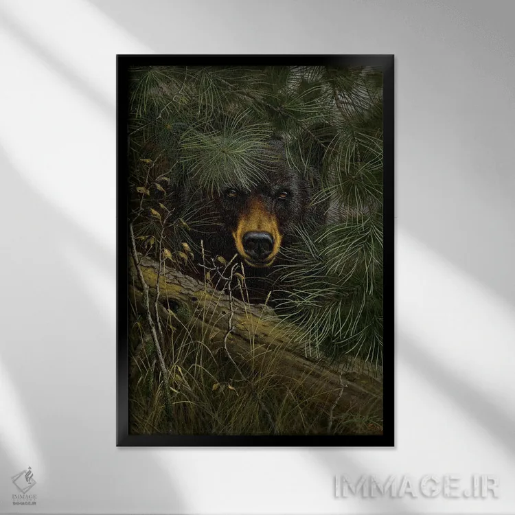 تابلو دکوراتیو تماشاگر اثر درک هانسن - نمای قابدار مشکی