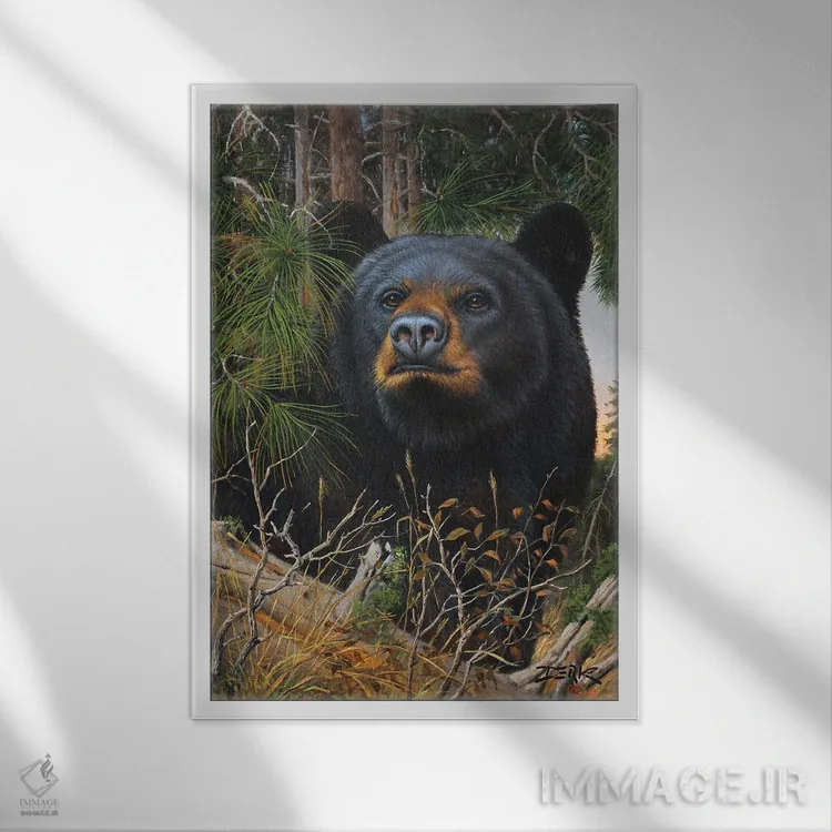 تابلو دکوراتیو پیرمرد جنگل اثر درک هانسن - نمای قابدار سفید