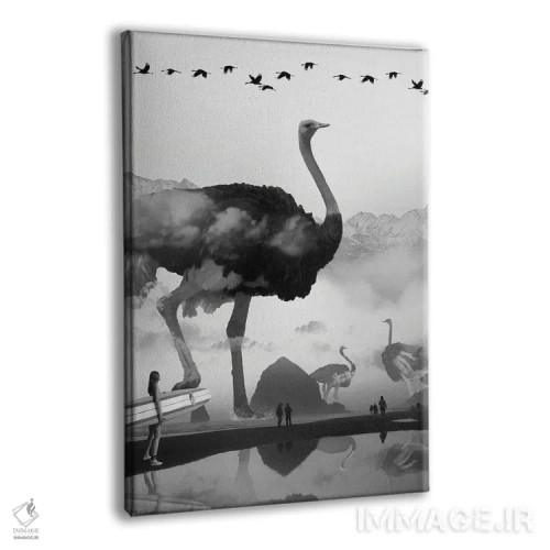 تابلو دکوراتیو شترمرغ در ساحل اثر دیوید لوبلاو - نمای پرسپکتیو محصول