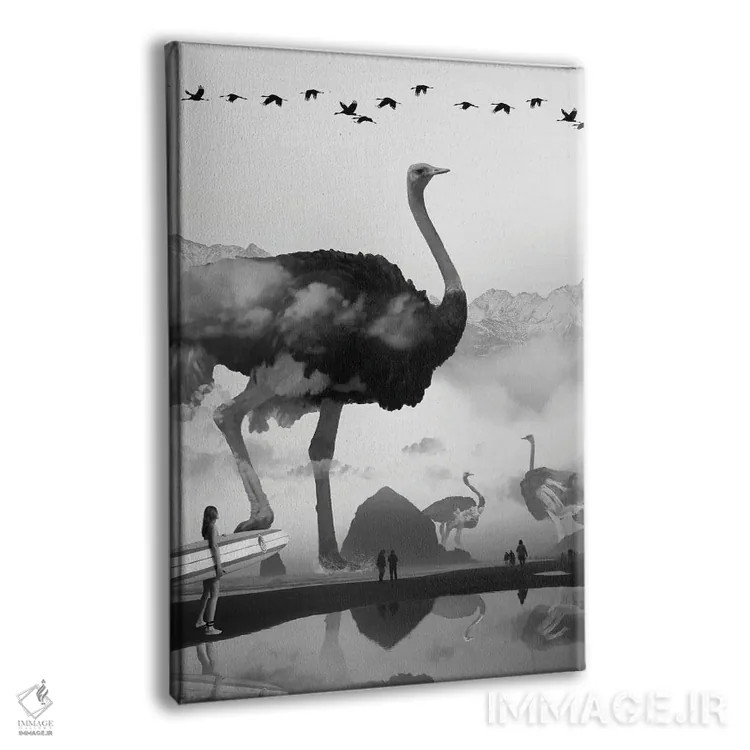 تابلو دکوراتیو شترمرغ در ساحل اثر دیوید لوبلاو - نمای پرسپکتیو محصول
