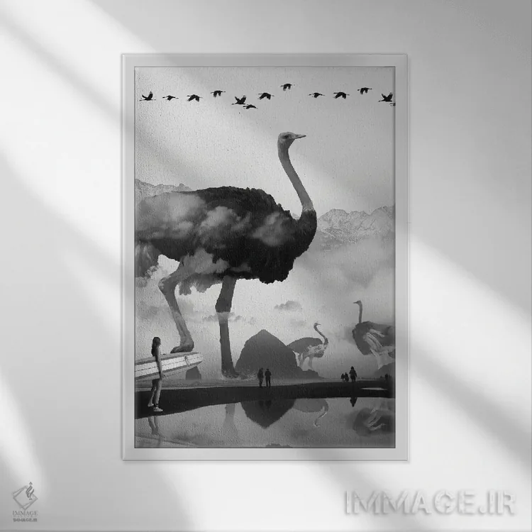 تابلو دکوراتیو شترمرغ در ساحل اثر دیوید لوبلاو - نمای قابدار سفید