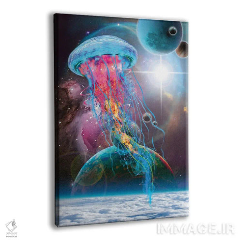 تابلو دکوراتیو عروس دریایی فضایی در مدار اثر دیوید لوبلاو - نمای پرسپکتیو محصول