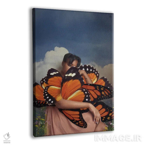 تابلو دکوراتیو پروانه اثر دیاندرا لی - نمای پرسپکتیو محصول