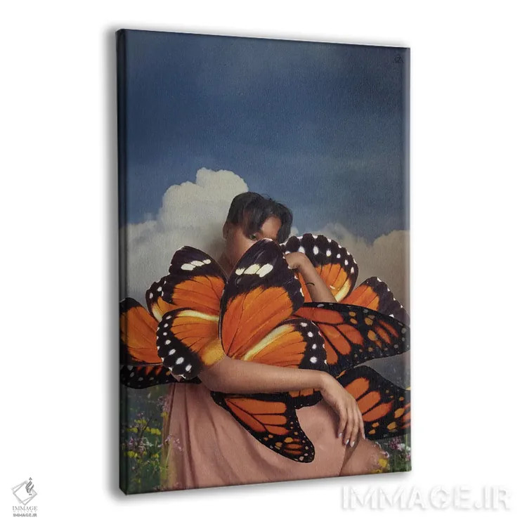 تابلو دکوراتیو پروانه اثر دیاندرا لی - نمای پرسپکتیو محصول