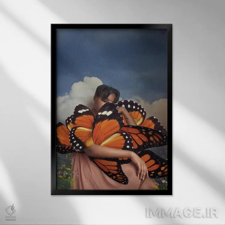 تابلو دکوراتیو پروانه اثر دیاندرا لی - نمای قابدار مشکی