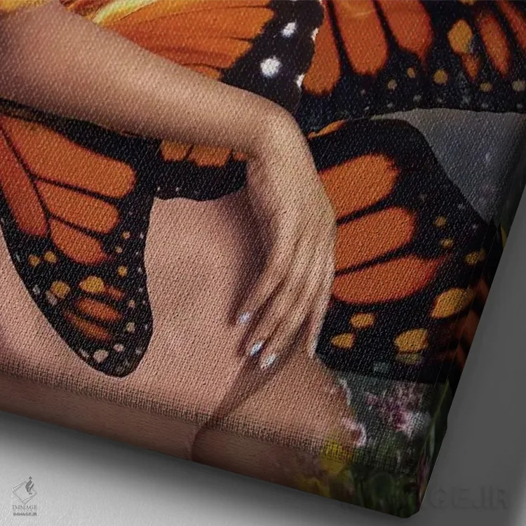 تابلو دکوراتیو پروانه اثر دیاندرا لی - نمای نزدیک بافت بوم