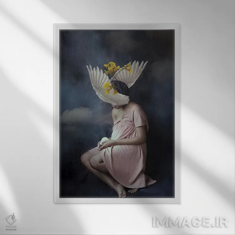 تابلو دکوراتیو شکست خورده اثر دیاندرا لی - نمای قابدار سفید