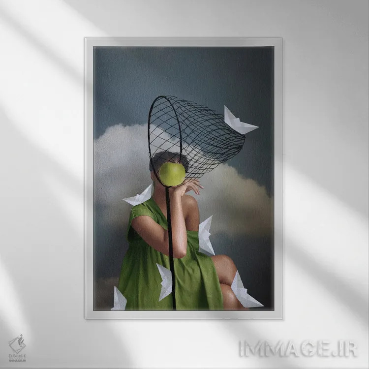 تابلو دکوراتیو تعادل اثر دیاندرا لی - نمای قابدار سفید