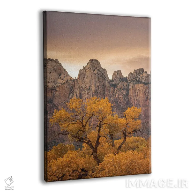 تابلو دکوراتیو نگهبانی بر زایان اثر داستین لفور - نمای پرسپکتیو محصول