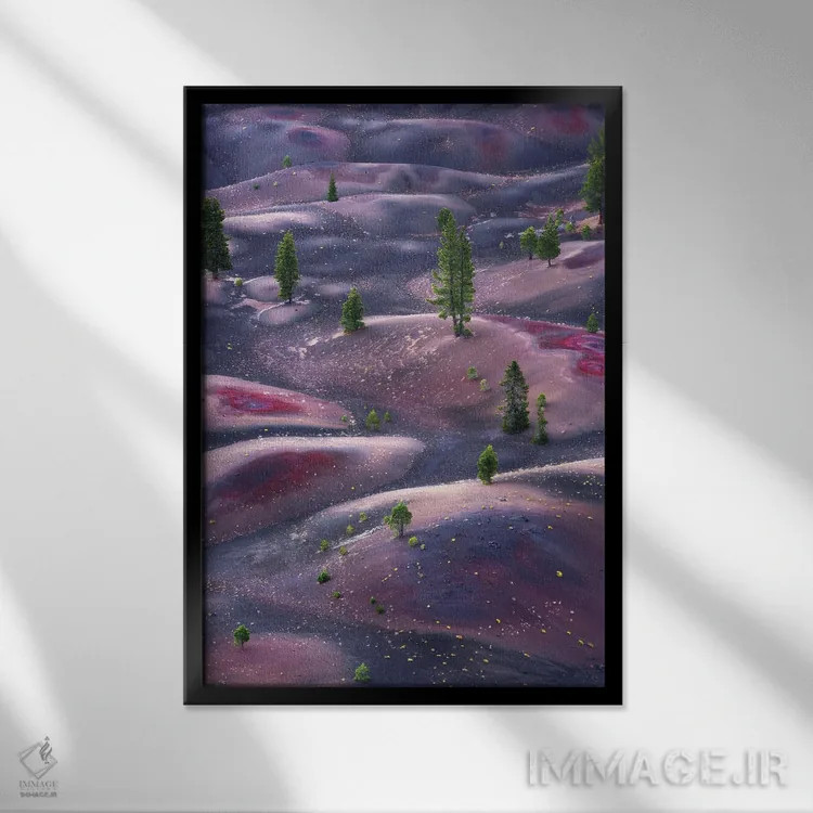 تابلو دکوراتیو سرزمین خاکسترها اثر داستین لفور - نمای قابدار مشکی