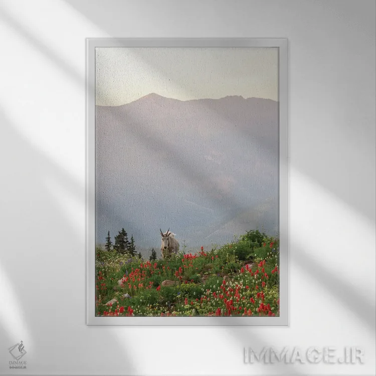 تابلو دکوراتیو نگهبان تیمپا نوگوس اثر داستین لفور - نمای قابدار سفید