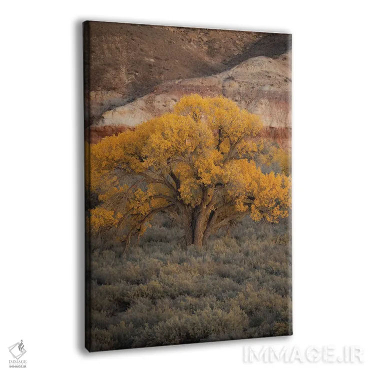 تابلو دکوراتیو سپیدار یوتا اثر داستین لفور - نمای پرسپکتیو محصول