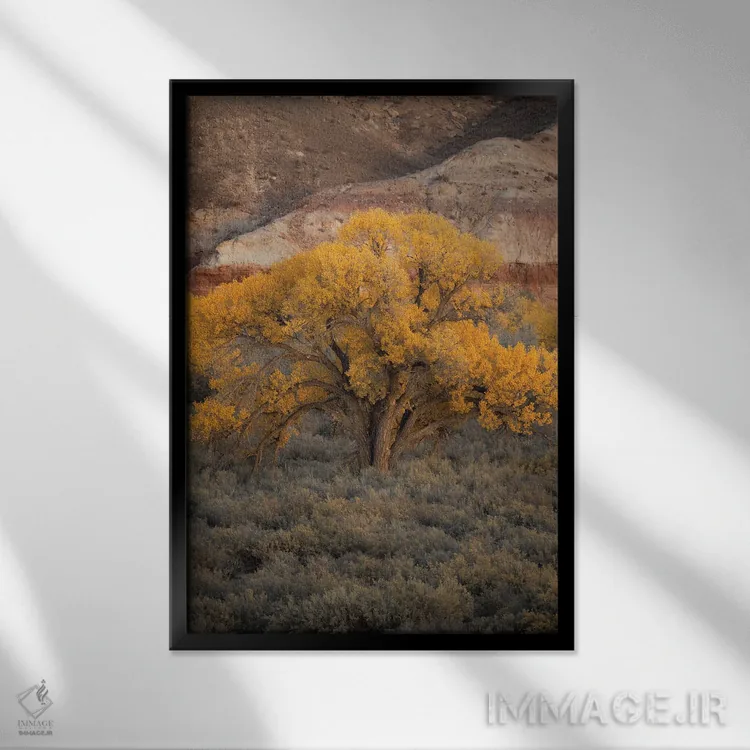 تابلو دکوراتیو سپیدار یوتا اثر داستین لفور - نمای قابدار مشکی