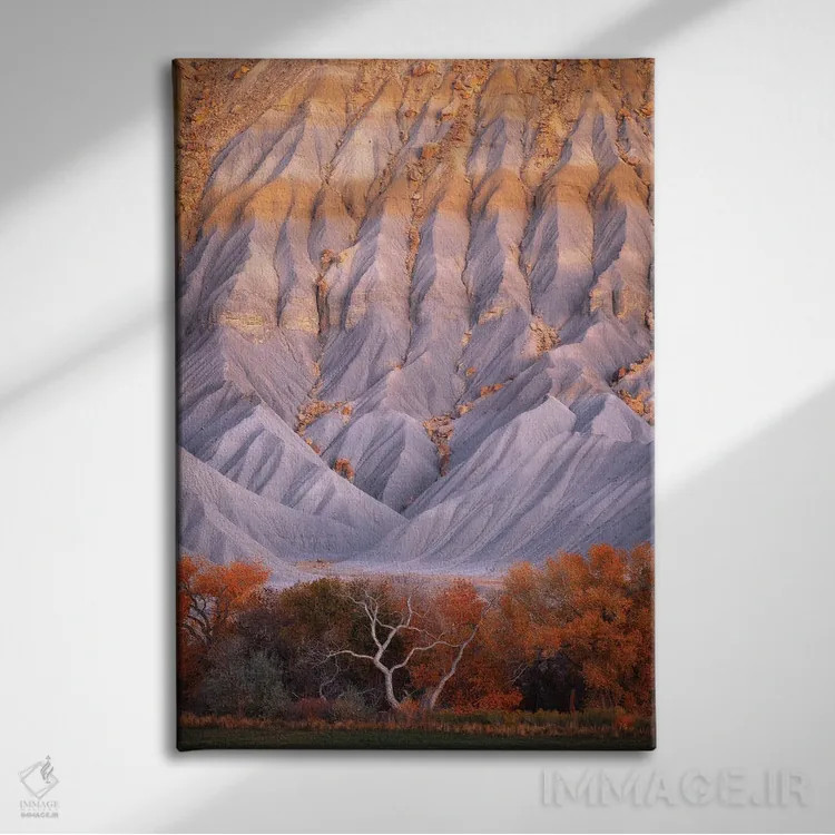 تابلو دکوراتیو اثر حیرت انگیز - نمای روبهرو روی دیوار