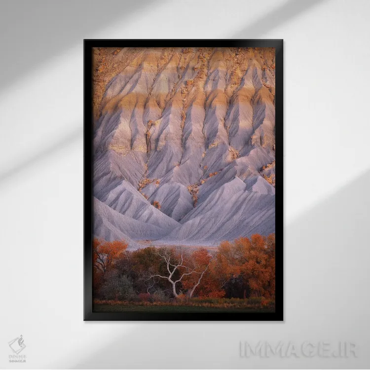 تابلو دکوراتیو اثر حیرت انگیز - نمای قابدار مشکی