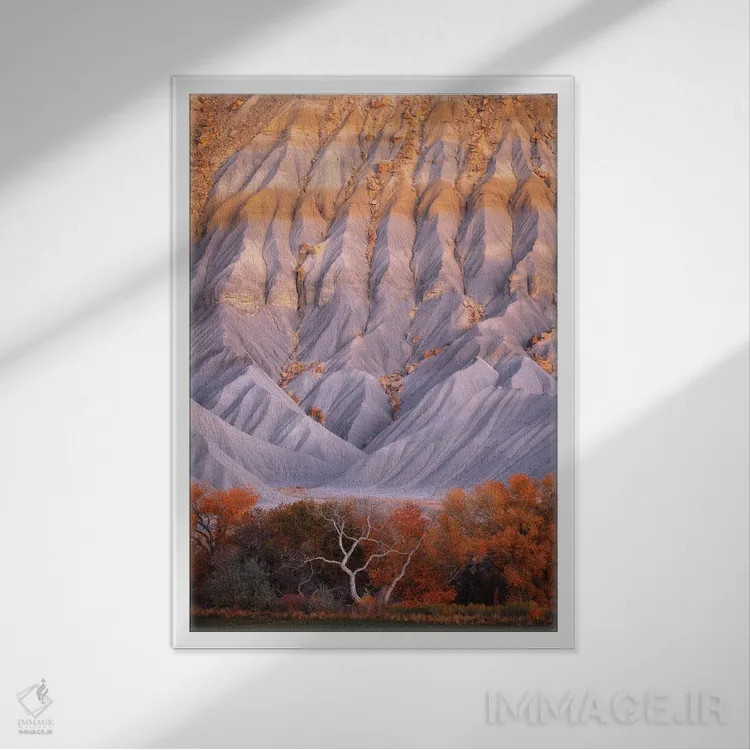 تابلو دکوراتیو اثر حیرت انگیز - نمای قابدار سفید