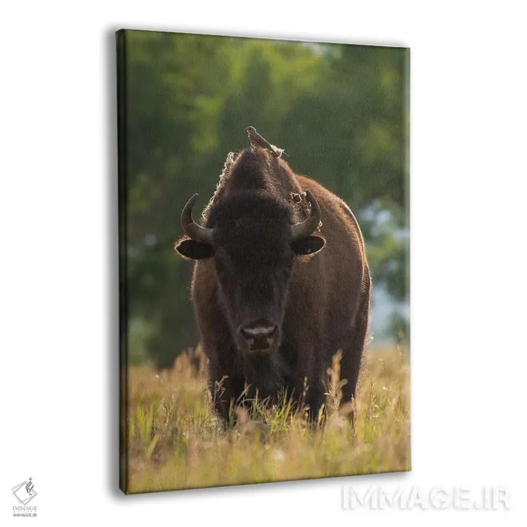 تابلو دکوراتیو نشسته اثر داستین لفور - نمای پرسپکتیو محصول