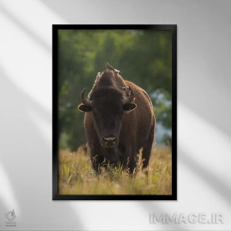 تابلو دکوراتیو نشسته اثر داستین لفور - نمای قابدار مشکی