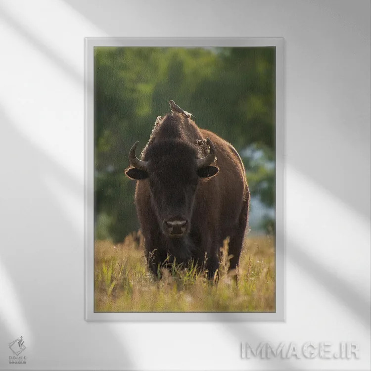 تابلو دکوراتیو نشسته اثر داستین لفور - نمای قابدار سفید