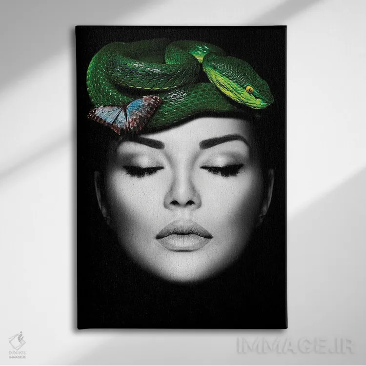 تابلو دکوراتیو زن با مار سبز اثر دانیلو د آلکساندریا - نمای روبهرو روی دیوار