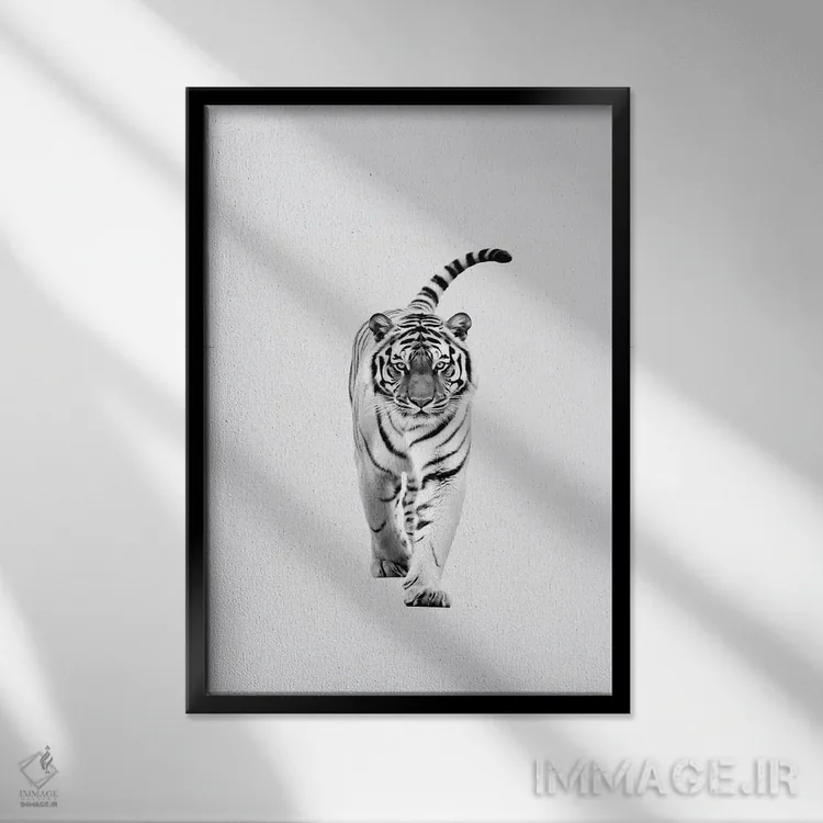 تابلو دکوراتیو ببر به سبک مینیمالیستی اثر دانیلو د آلکساندریا - نمای قابدار مشکی