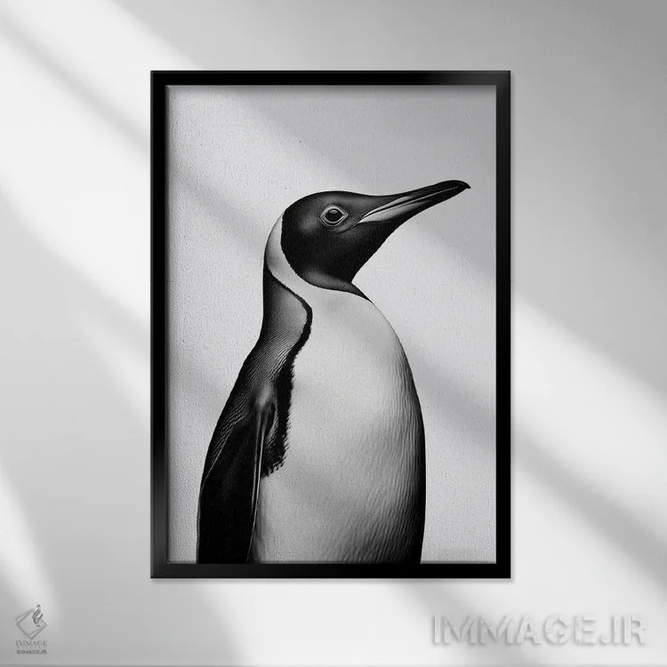 تابلو دکوراتیو پنگوئن به سبک مینیمالیستی اثر دانیلو د آلکساندریا - نمای قابدار مشکی