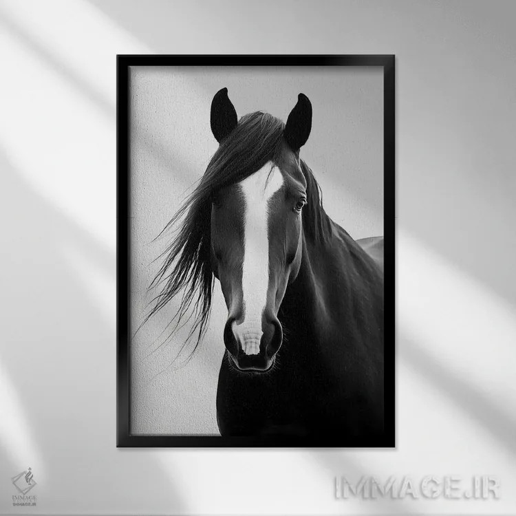 تابلو دکوراتیو اسب به سبک مینیمالیستی اثر دانیلو د آلکساندریا - نمای قابدار مشکی