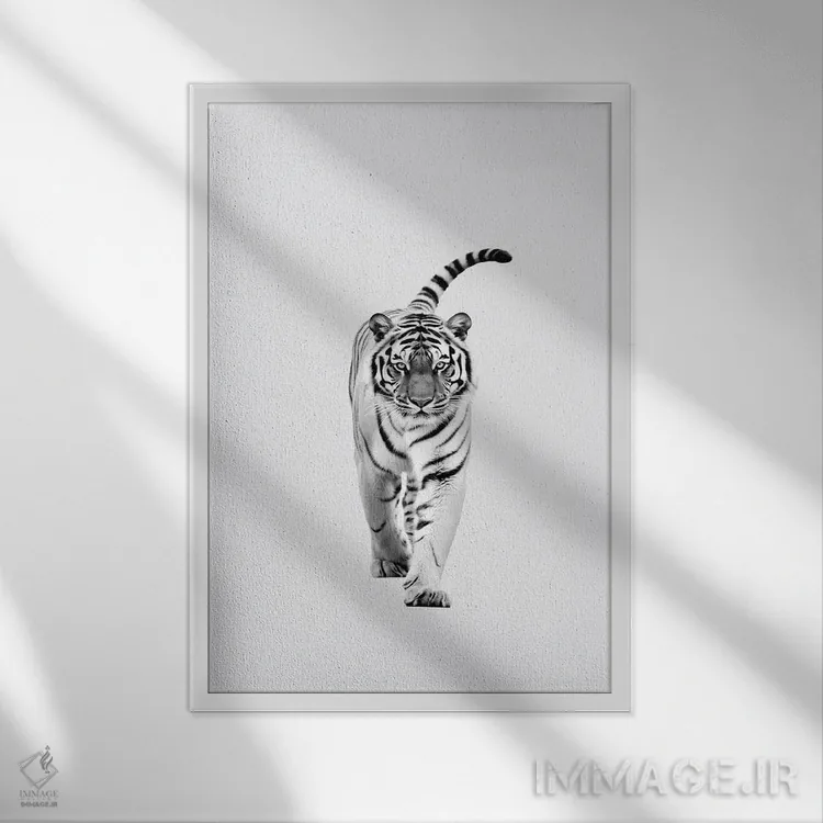 تابلو دکوراتیو ببر به سبک مینیمالیستی اثر دانیلو د آلکساندریا - نمای قابدار سفید
