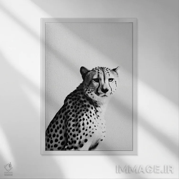 تابلو دکوراتیو یوزپلنگ به سبک مینیمالیستی اثر دانیلو د آلکساندریا - نمای قابدار سفید