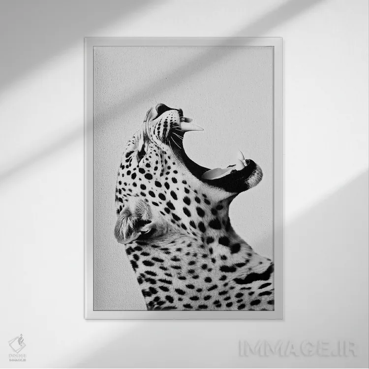تابلو دکوراتیو جگوار به سبک مینیمالیستی اثر دانیلو د آلکساندریا - نمای قابدار سفید