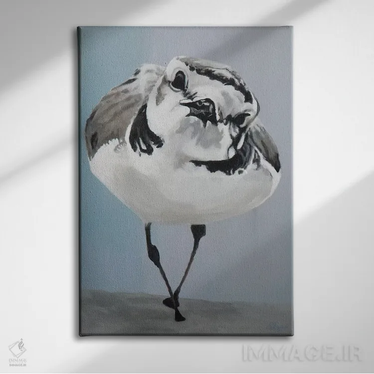 تابلو دکوراتیو غرور و ژست اثر دی لین رول - نمای روبهرو روی دیوار