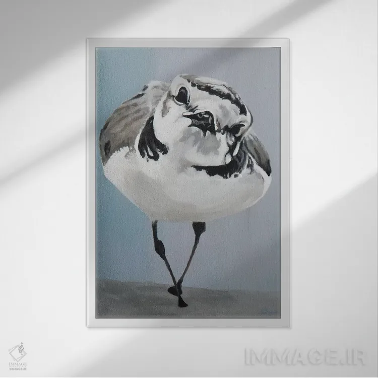 تابلو دکوراتیو غرور و ژست اثر دی لین رول - نمای قابدار سفید