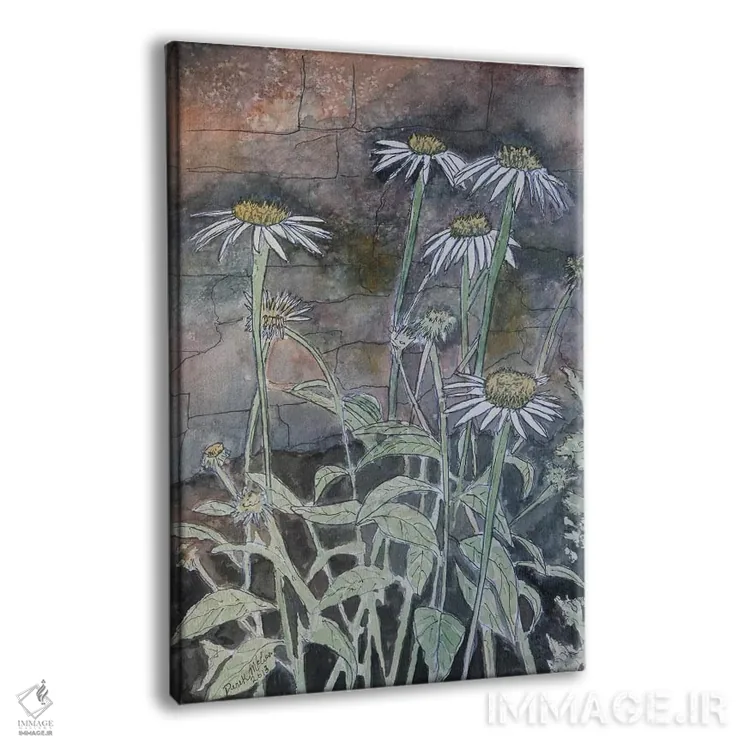 تابلو دکوراتیو گل های مارجریتا اثر درک مک کری - نمای پرسپکتیو محصول