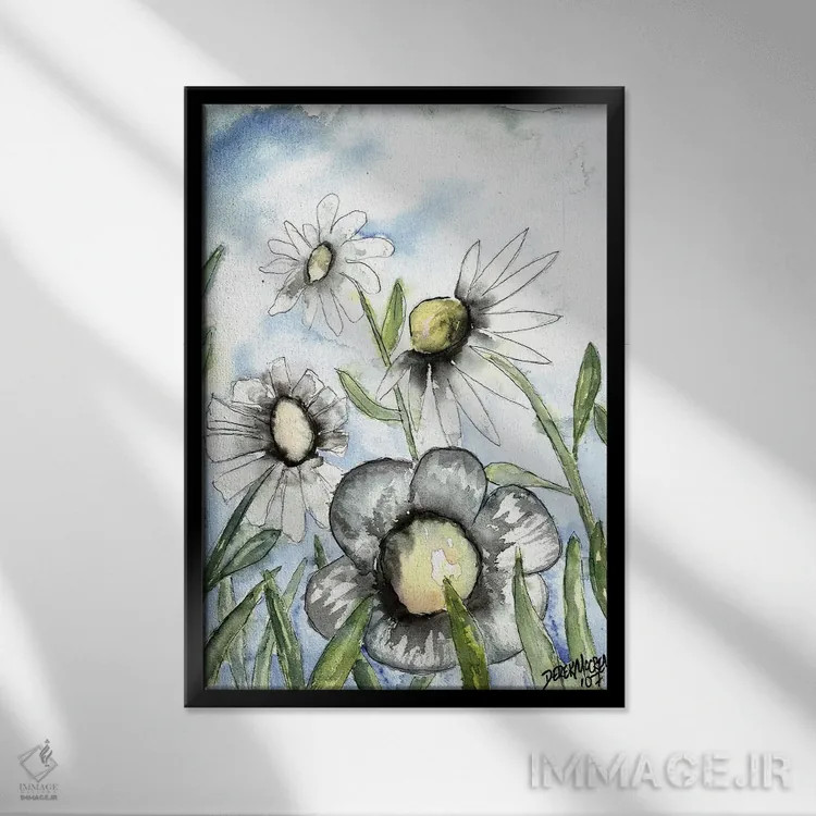 تابلو دکوراتیو مزرعه ای از مارجریتاهای سفید اثر درک مک کری - نمای قابدار مشکی