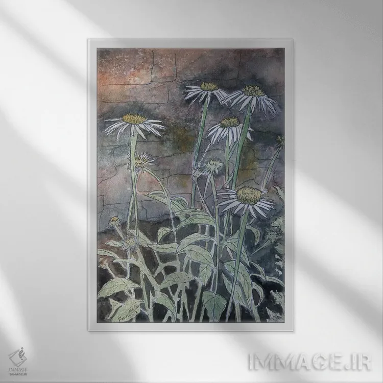 تابلو دکوراتیو گل های مارجریتا اثر درک مک کری - نمای قابدار سفید