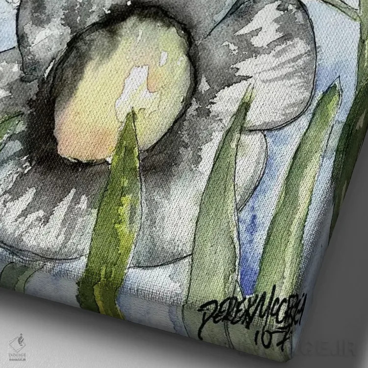 تابلو دکوراتیو مزرعه ای از مارجریتاهای سفید اثر درک مک کری - نمای نزدیک بافت بوم