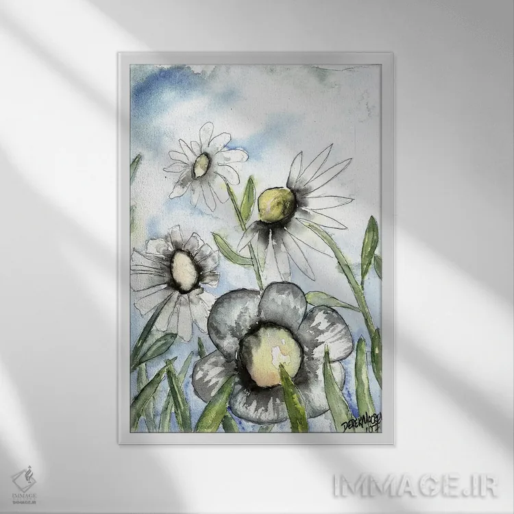 تابلو دکوراتیو مزرعه ای از مارجریتاهای سفید اثر درک مک کری - نمای قابدار سفید