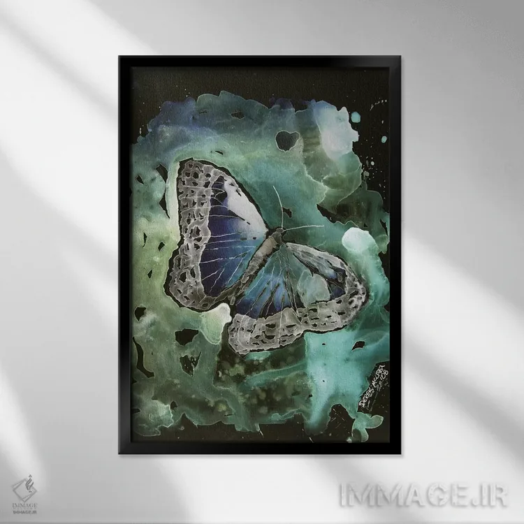 تابلو دکوراتیو پروانه مونارک I اثر درک مک کری - نمای قابدار مشکی