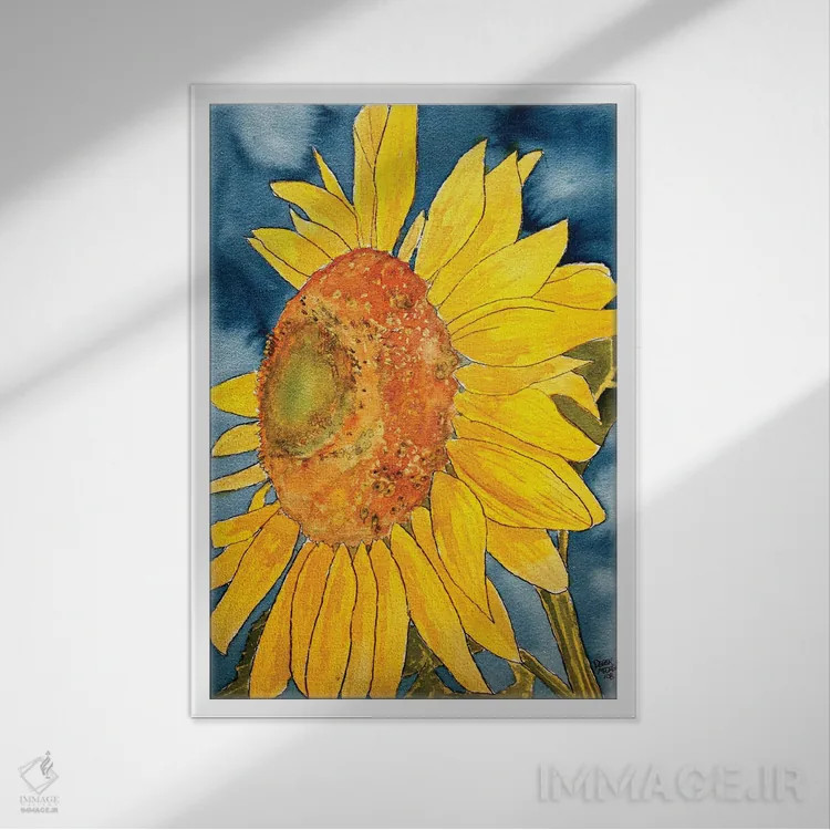 تابلو دکوراتیو نقاشی آبرنگ آفتابگردان اثر درک مک کری - نمای قابدار سفید