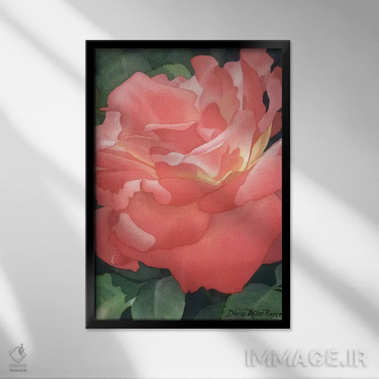 تابلو دکوراتیو اخگرهای گل رز اثر دیانا میلر-پیرس - نمای قابدار مشکی